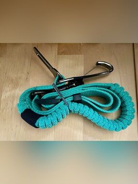 JoyTale No Pull Turquoise Braided Dog Leash with Metal Clip NEW
